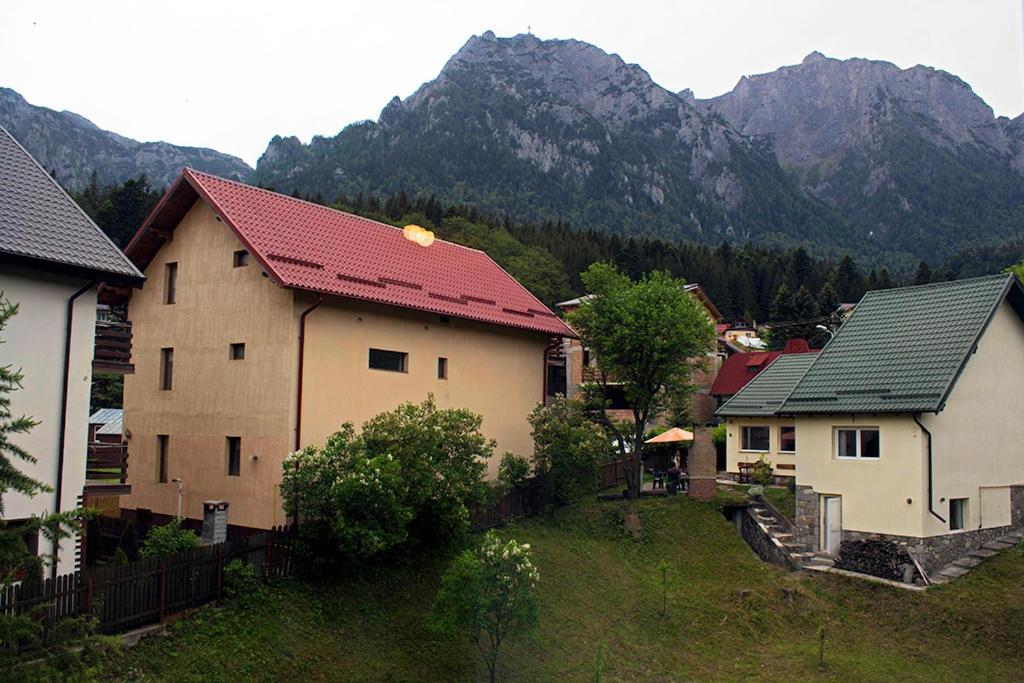 Apartament Mountain Life Buşteni Екстериор снимка