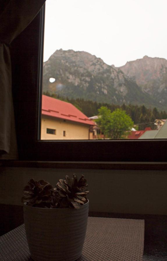 Apartament Mountain Life Buşteni Екстериор снимка